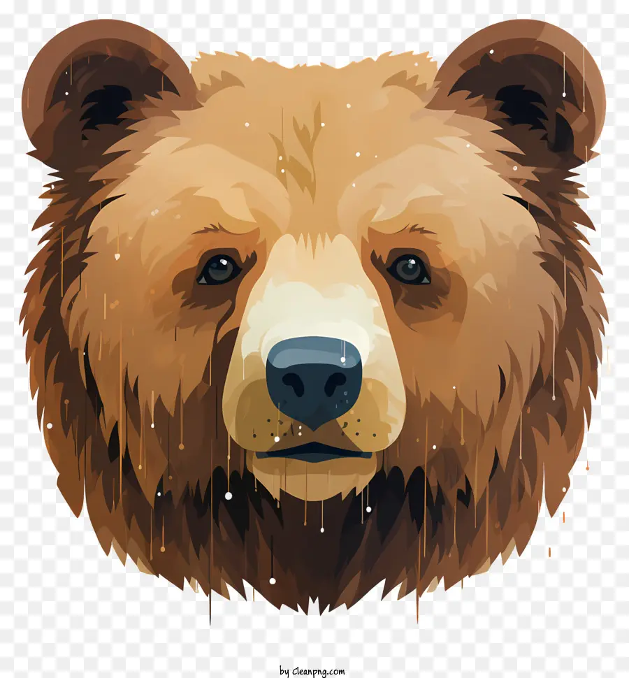 Urso Retrato，Urso Marrom PNG