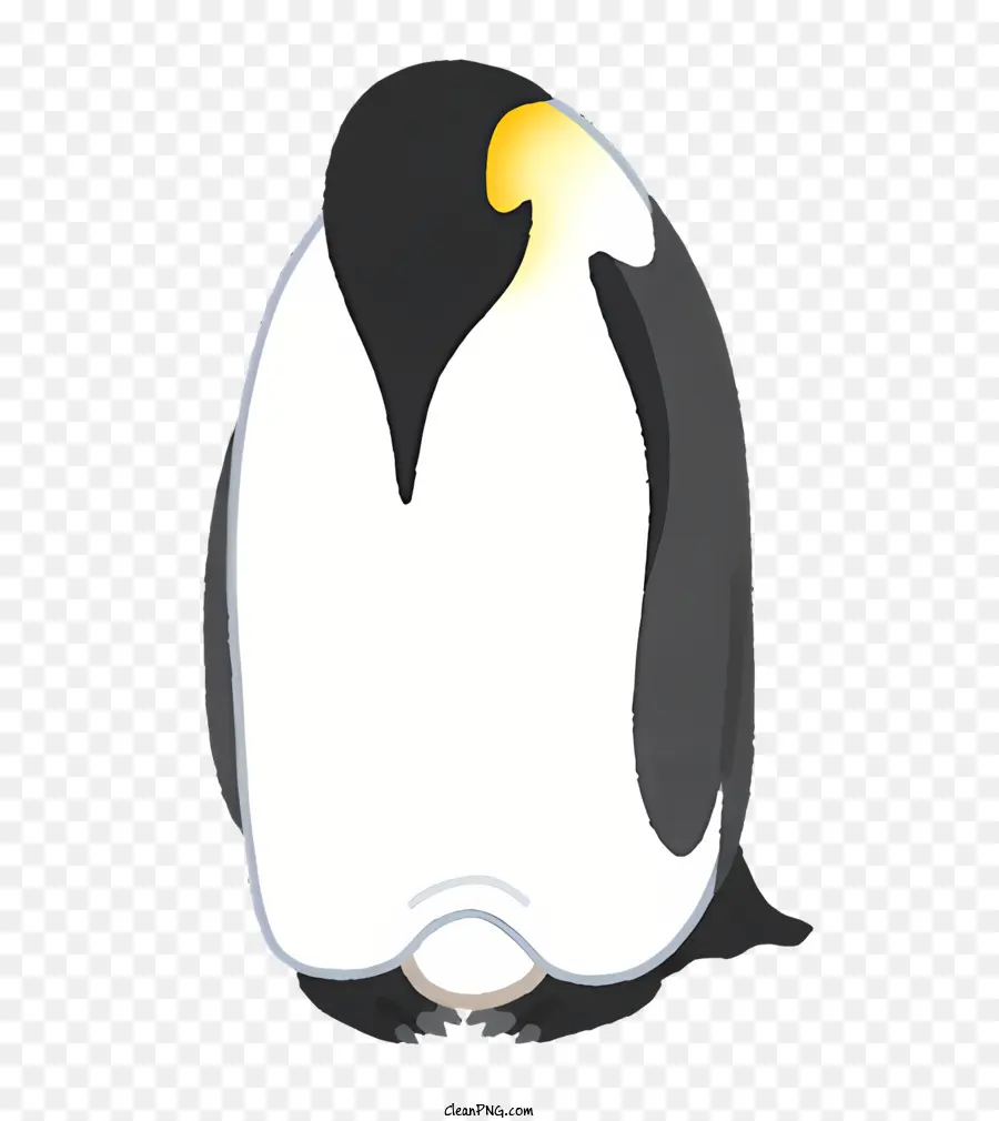 Penguin，Preto E Branco Penguin PNG