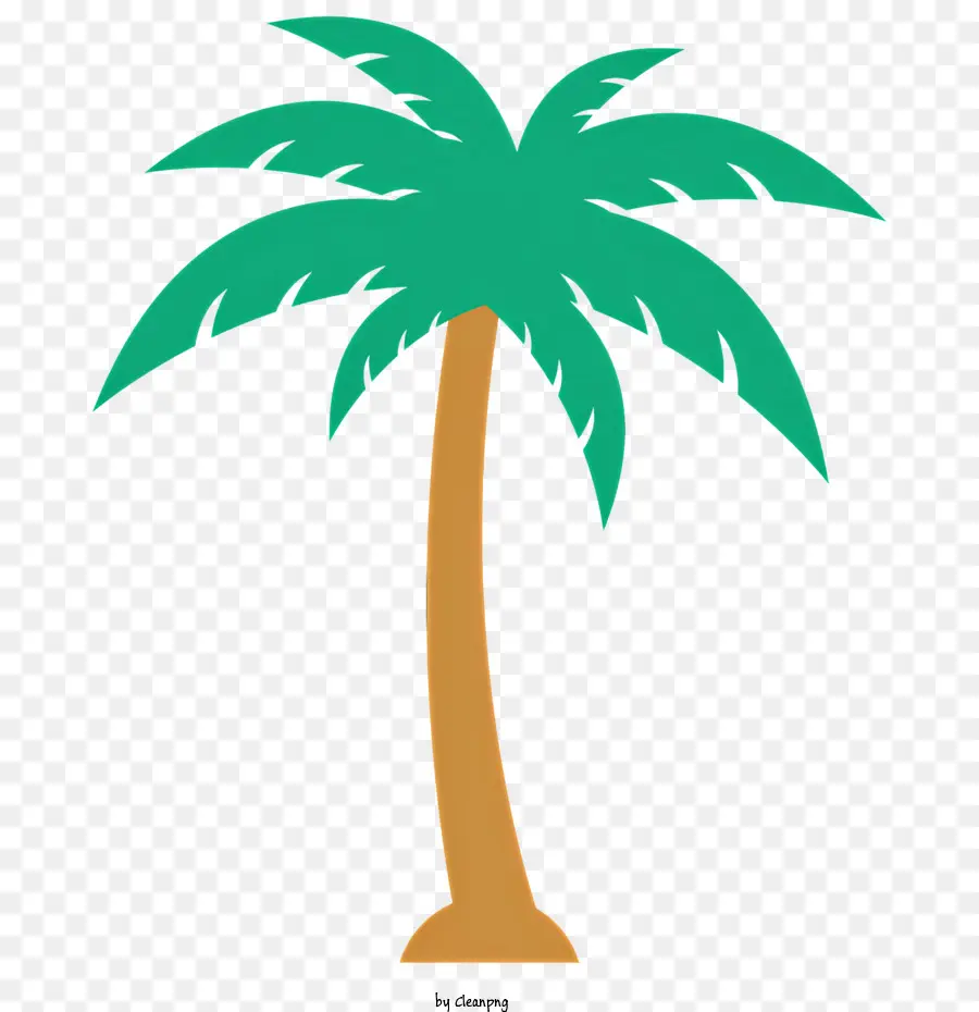 Palmeira，Climas Tropicais PNG