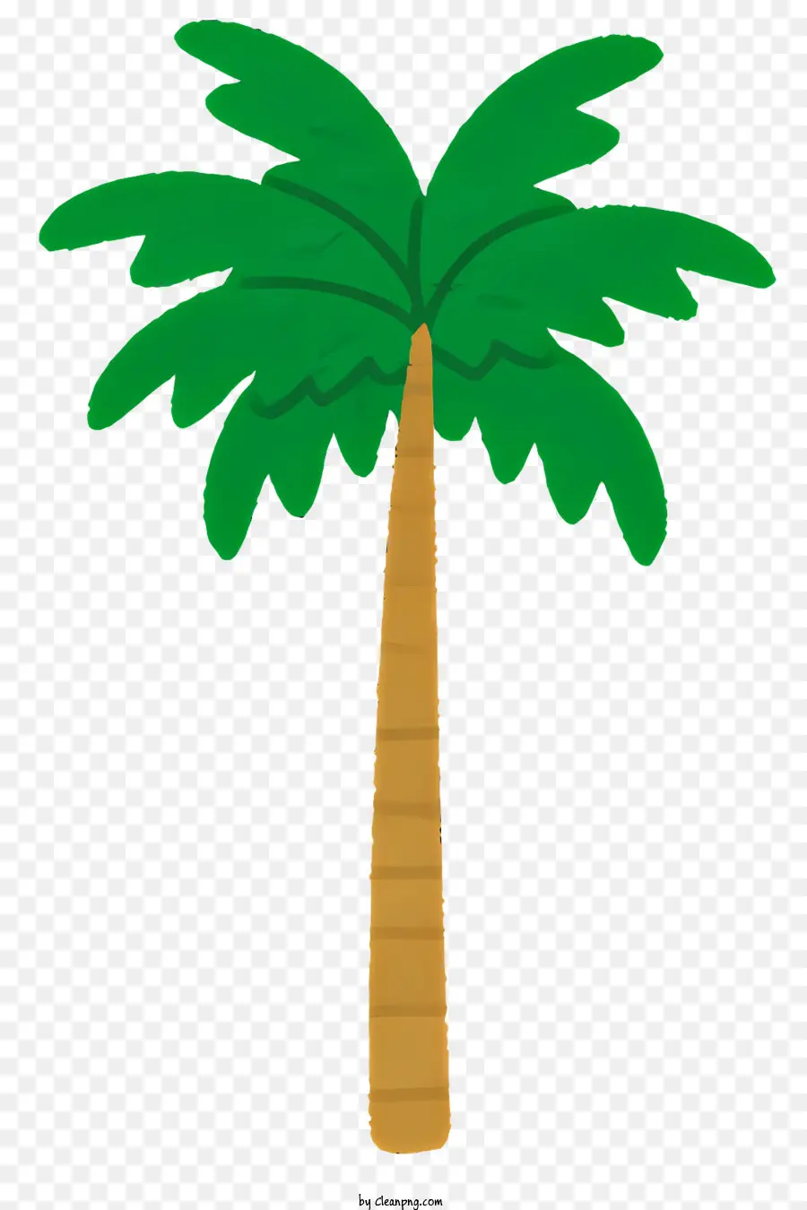 Palmeira，árvore Tropical PNG