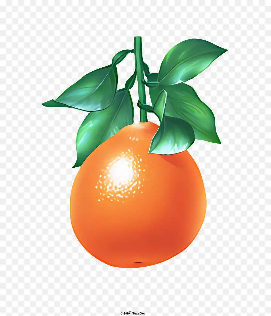 Frutas，Laranja PNG