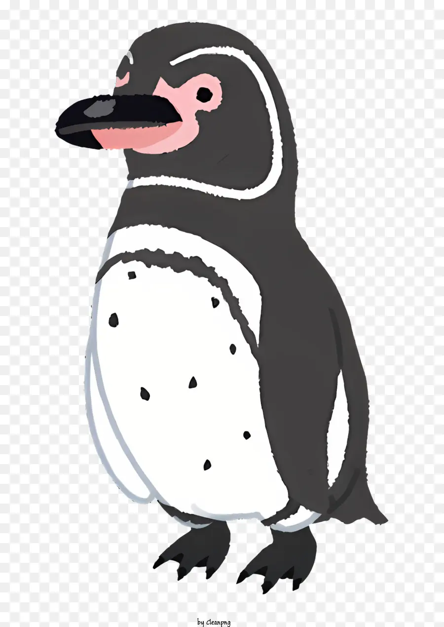 Pinguim，Pássaro PNG