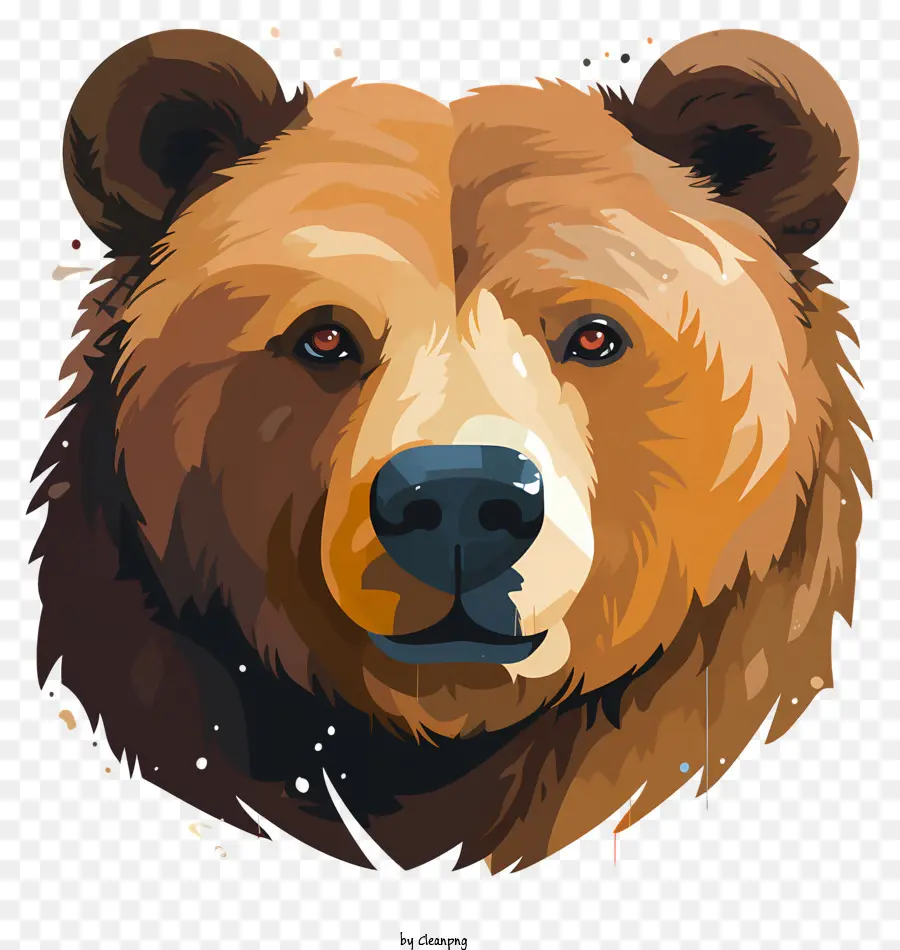 Urso，Animais Selvagens PNG