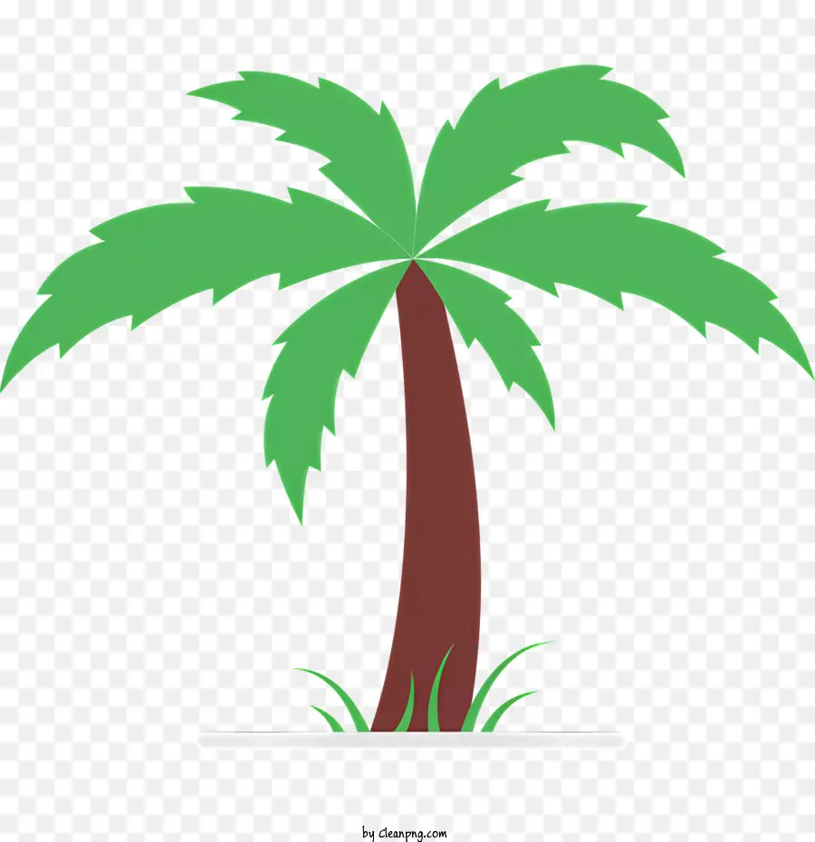 Palmeira，Deixa PNG