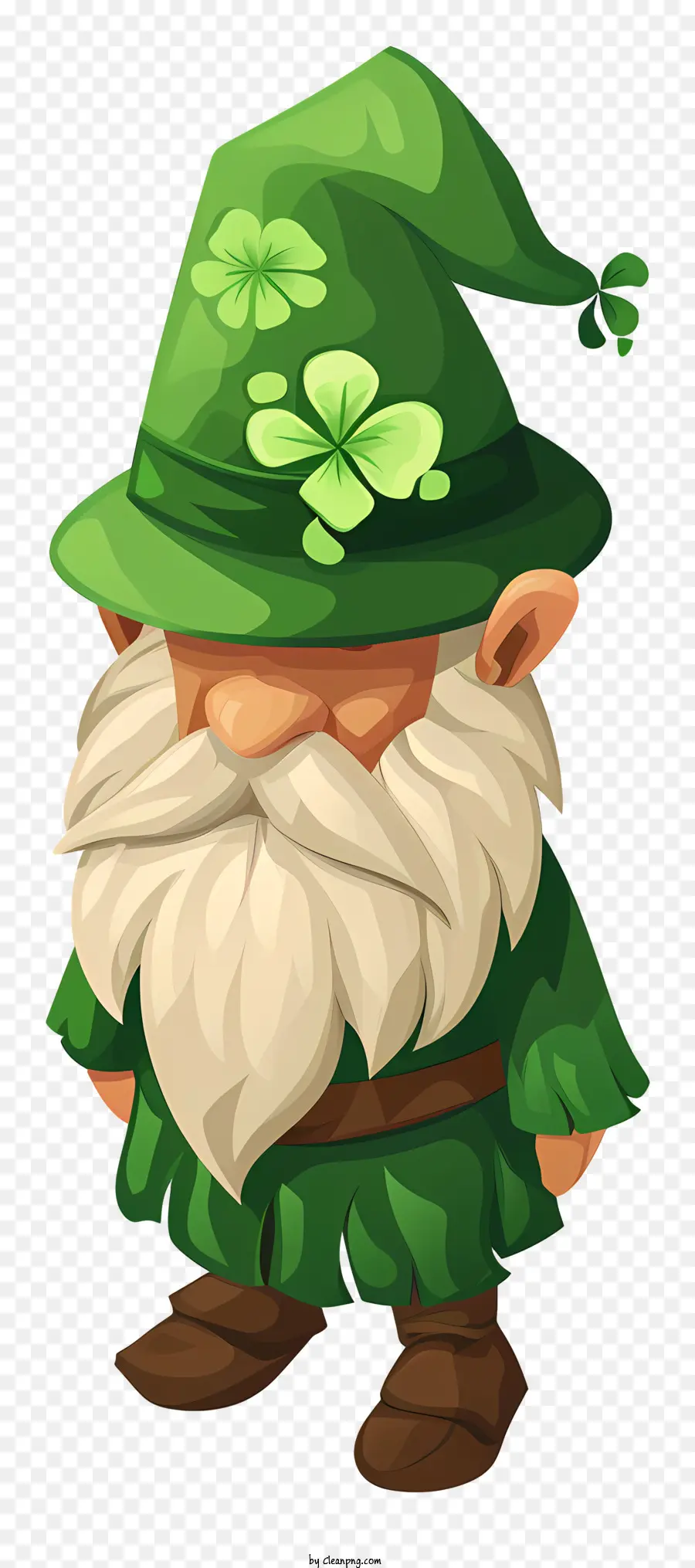 St Patricks Day Gnome，Gnome De Caracton PNG