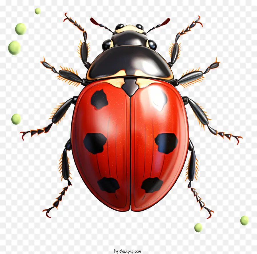 Ladybug Em Aquarela，Joaninha PNG