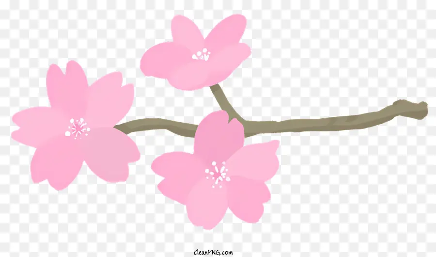 Sakura，Flor Rosa PNG