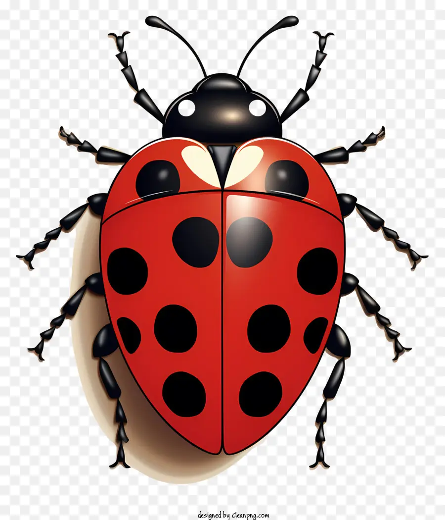 Ladybug Desenhada à Mão，Joaninha PNG