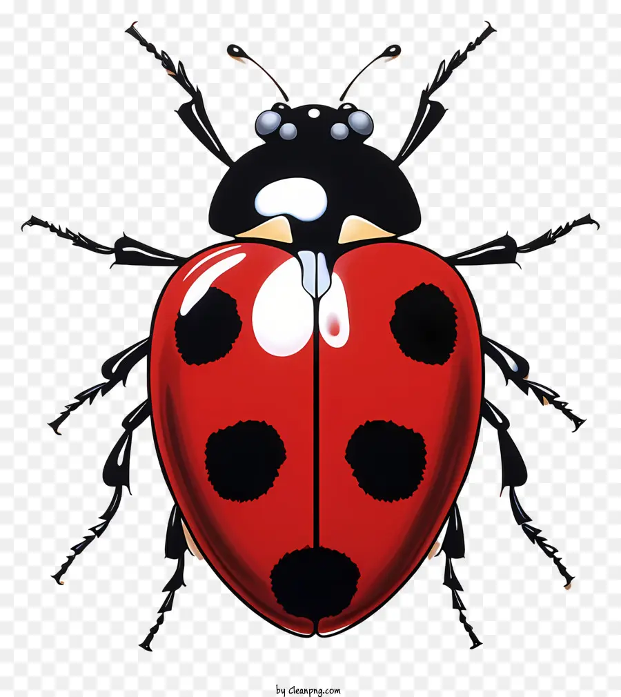 Ladybug Desenhada à Mão，Joaninha PNG