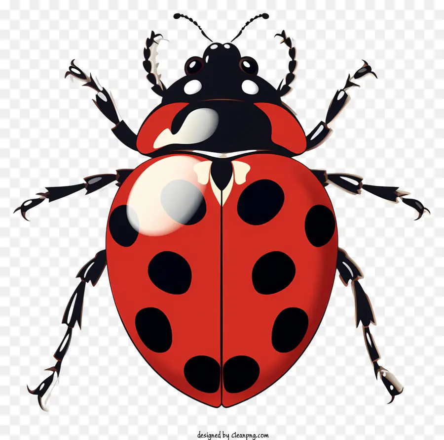 Ladybug Desenhada à Mão，Joaninha PNG