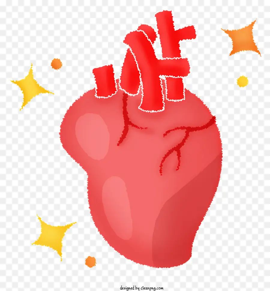 órgão Cardíaco，Saúde Do Coração PNG