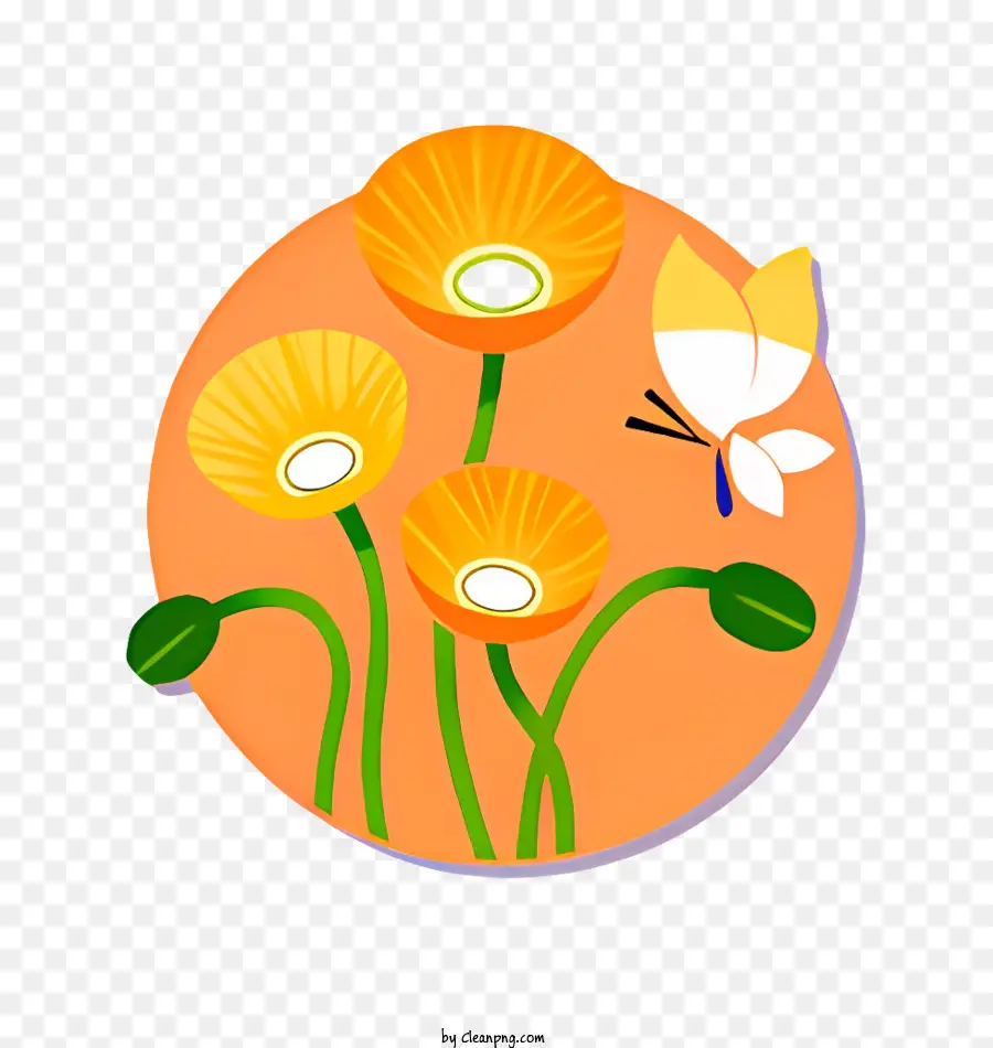 Flor，Fundo Laranja PNG