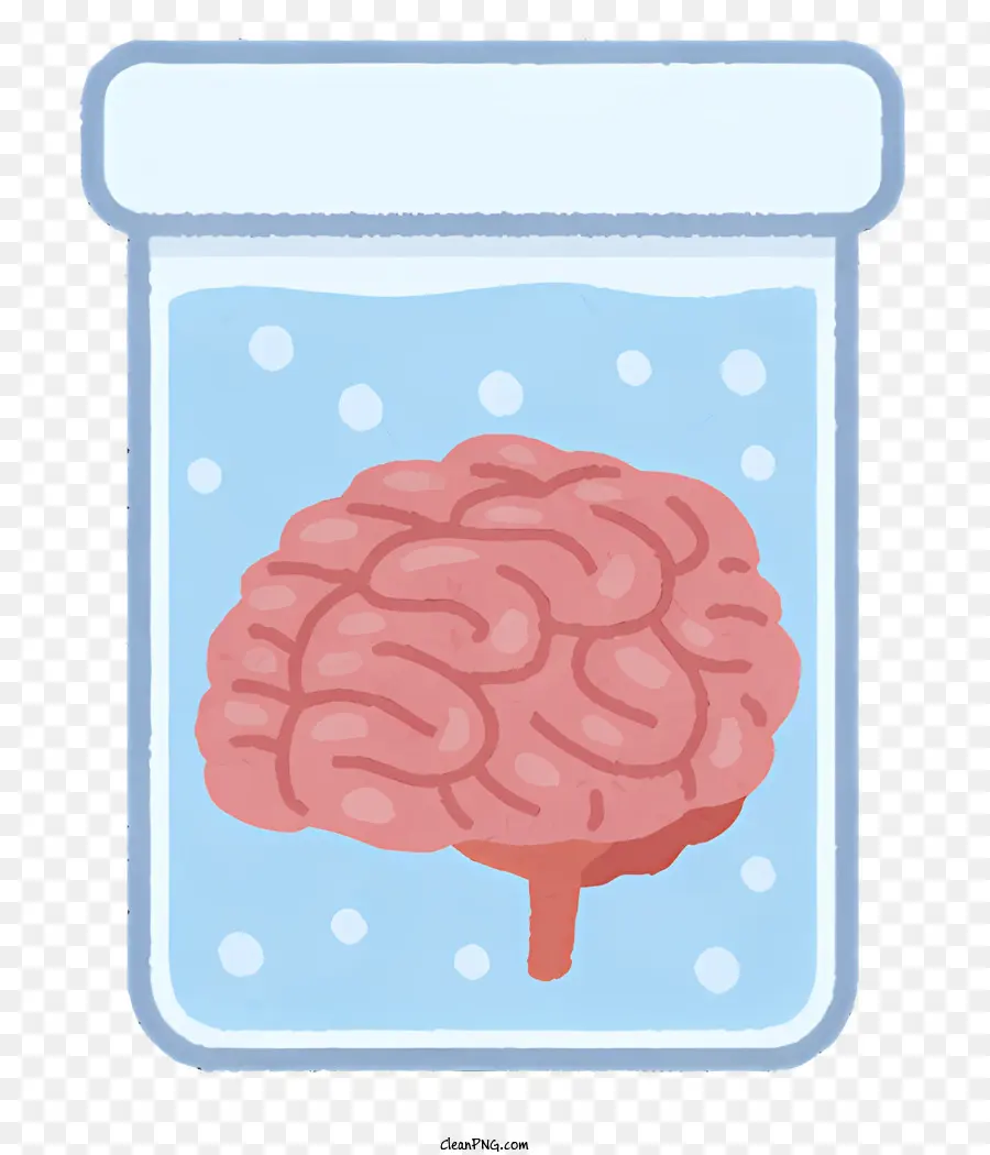 Cérebro Em Recipiente，Cérebro Transparente PNG