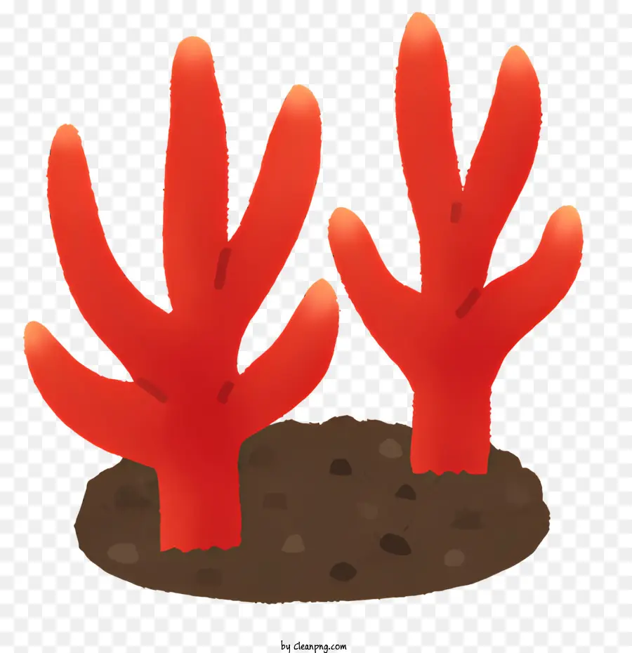 ícone，Coral Vermelho PNG