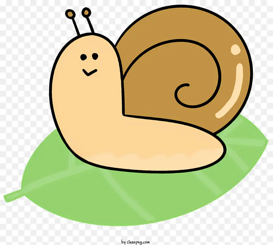 S De Desenhos Animados Visita，Caracol Em Uma Folha PNG