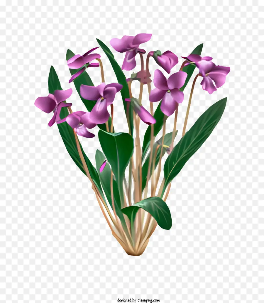 Flor，Flores Violeta Rosa PNG