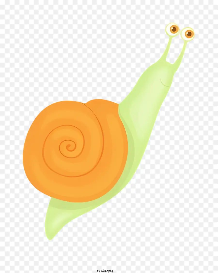 Caracol De Desenho Animado，Caracol Laranja PNG