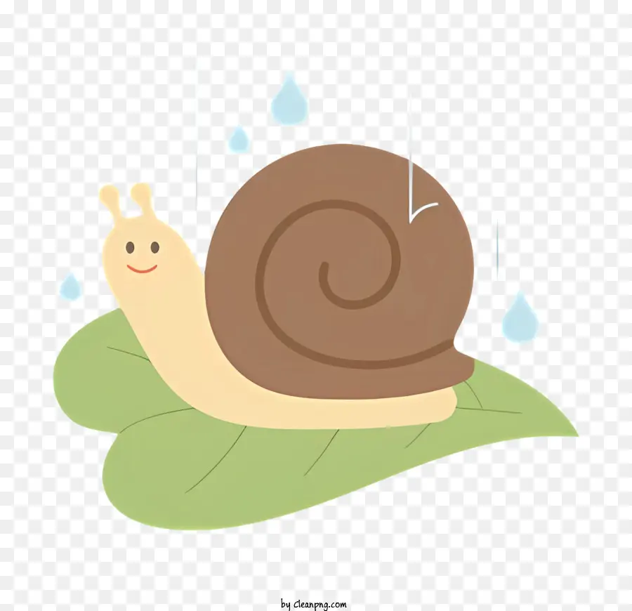 S De Desenhos Animados Visita，Caracol PNG