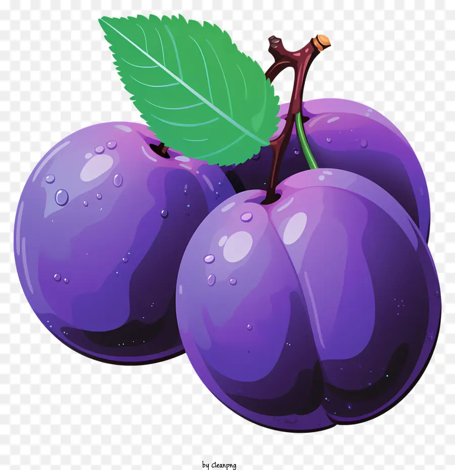 Plum De Estilo De Esboço，Ameixas Roxas PNG