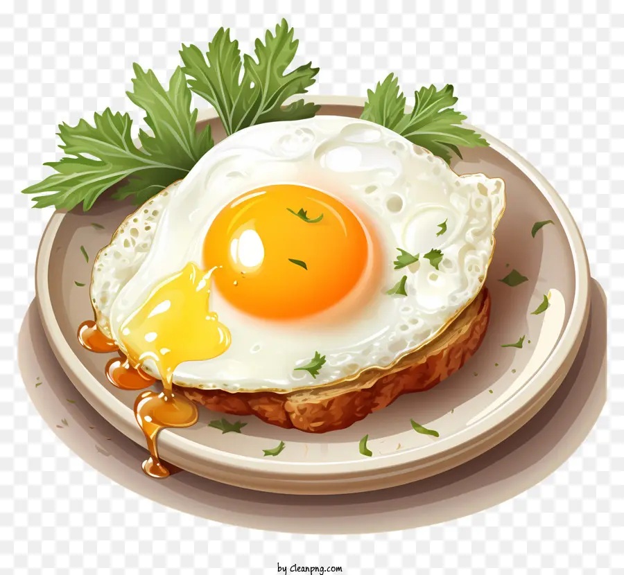 Ovo Escalfado，Eggs PNG
