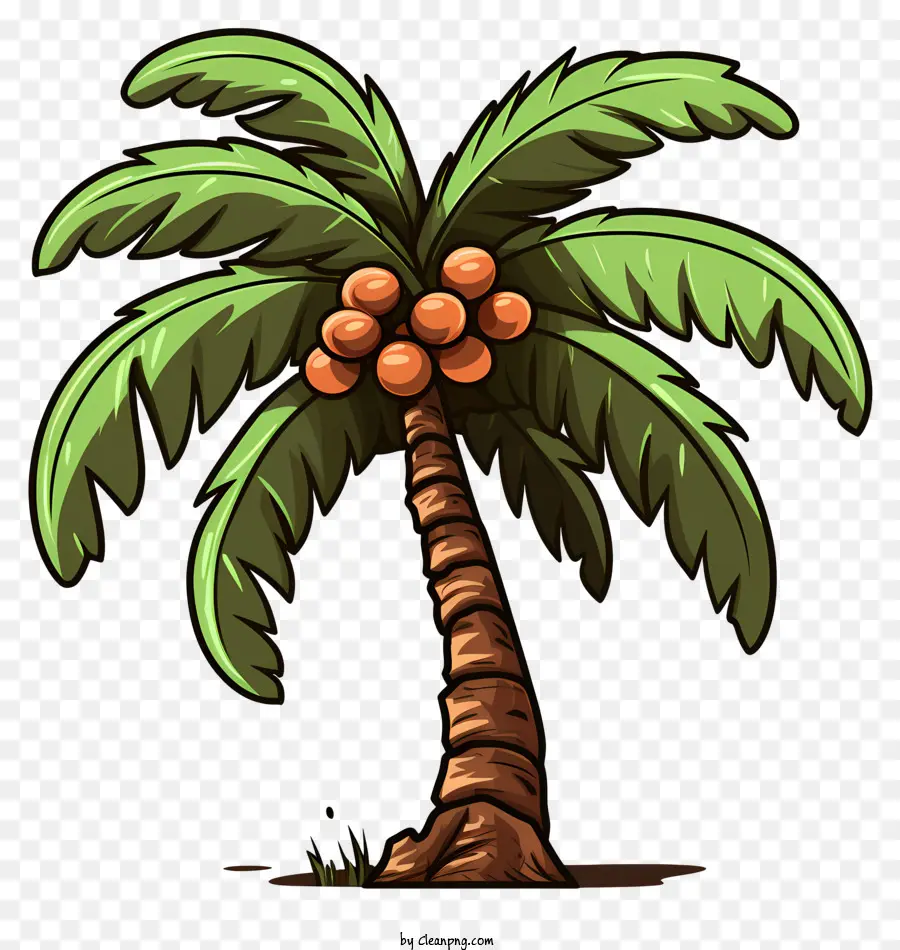 Árvore De Coco No Estilo Doodle，Palmeira Tropical PNG