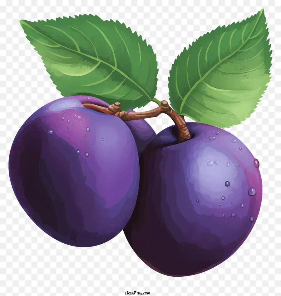 Plum Desenhada à Mão，Ameixas PNG