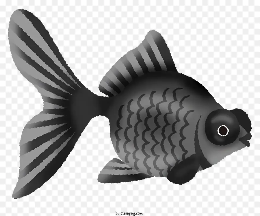 Peixes Ilustração，Preto E Branco Peixe PNG
