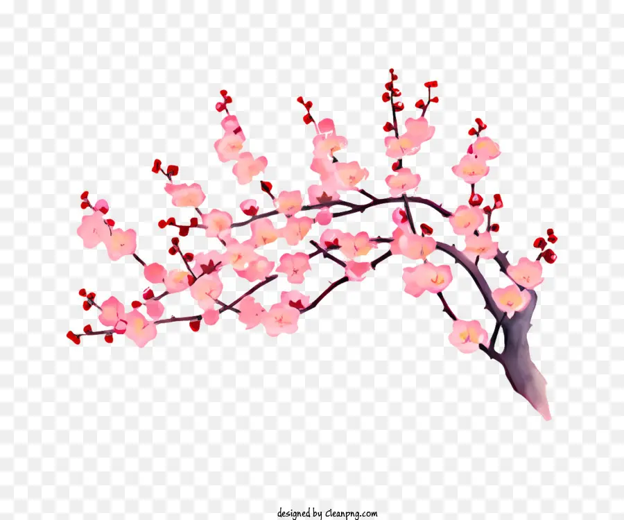 Primavera，Árvore De Flor De Cerejeira Rosa PNG