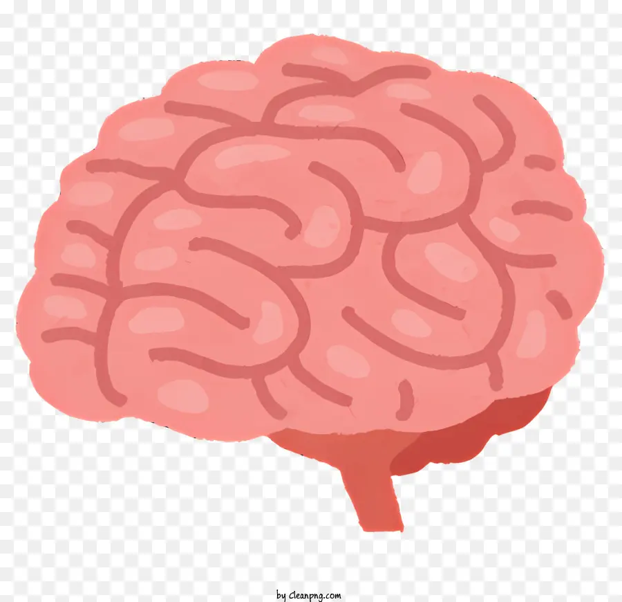 Corpo，Cérebro Humano PNG