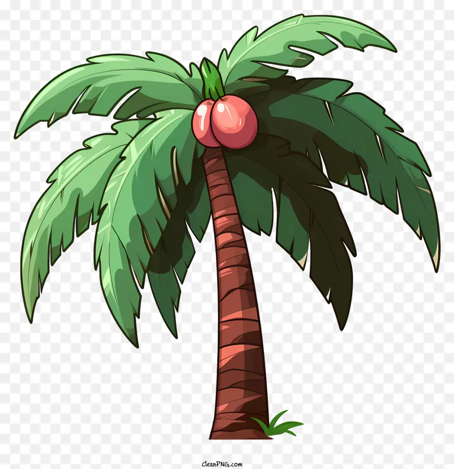 Árvore De Coco No Estilo Doodle，Cartoon Palm Tree PNG