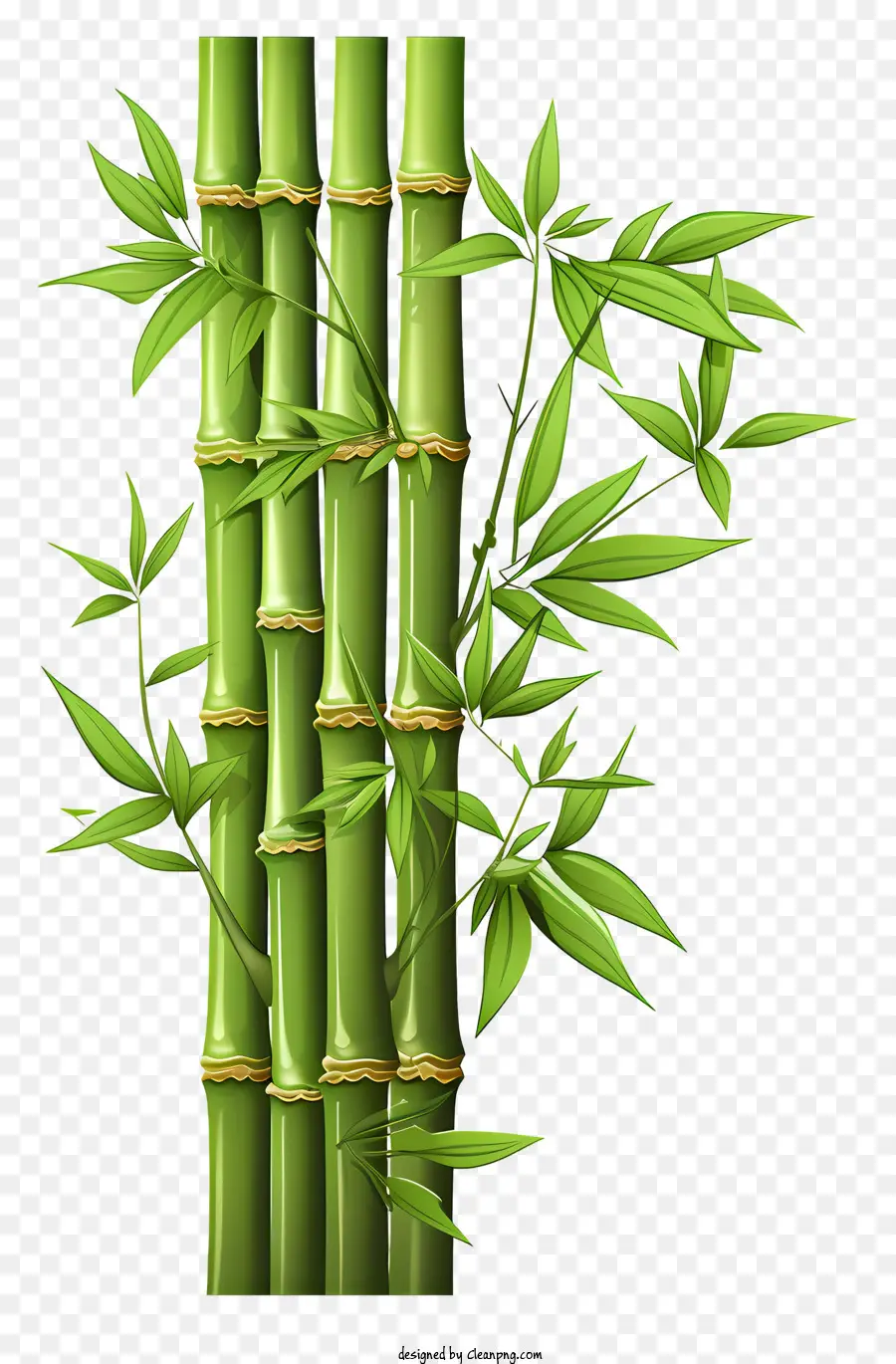 Haste De Bambu Desenhada à Mão，Bambu PNG