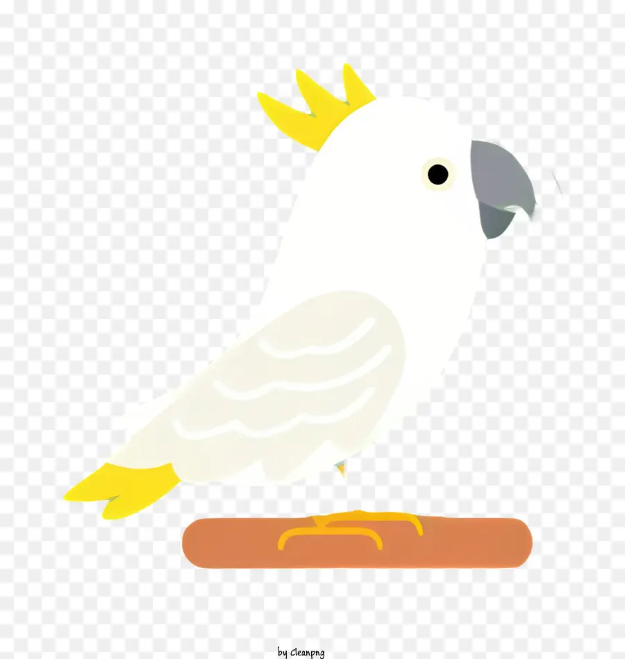 Papagaio Pássaro，Cacatua Branca PNG