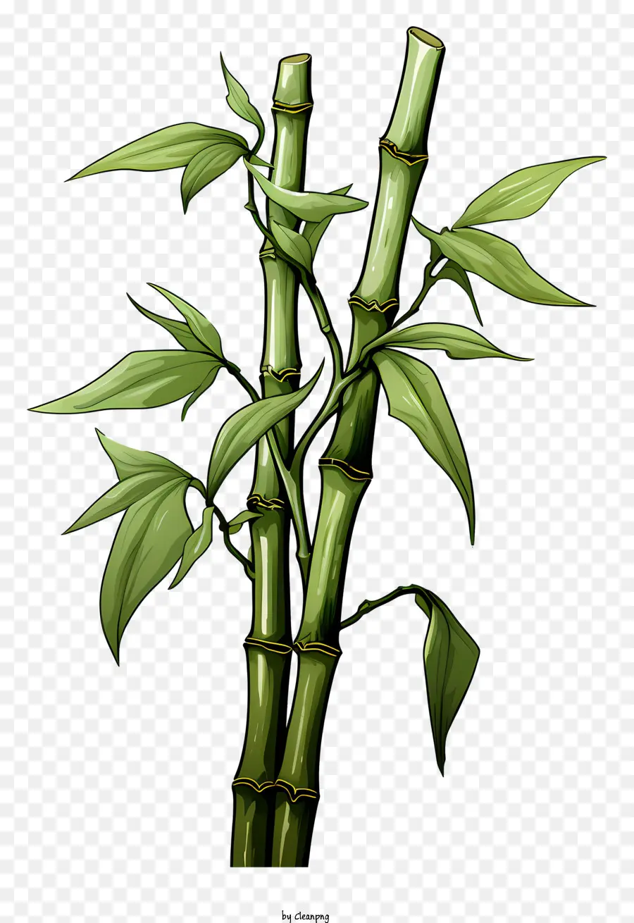 Caule De Bambu No Estilo Doodle，Planta De Bambu PNG