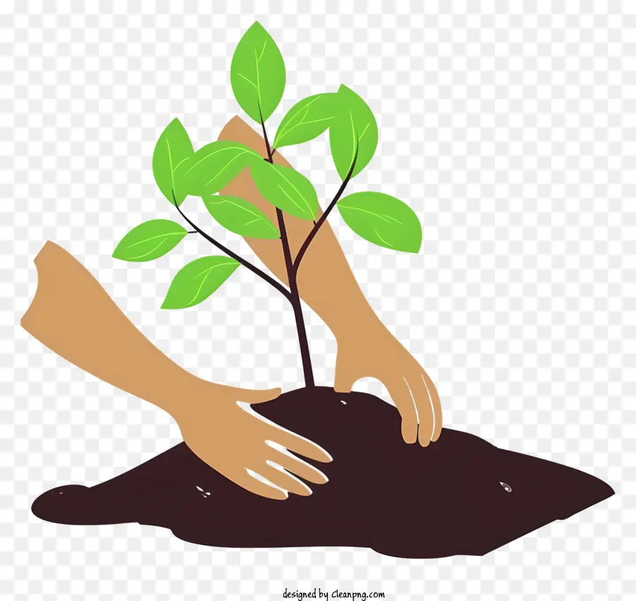 Plantando árvore De árvores Arte Vetorial Simplista，Mudas PNG