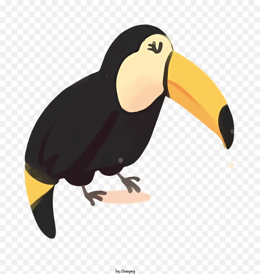 Parrot De Pássaro，Pássaro Grande PNG