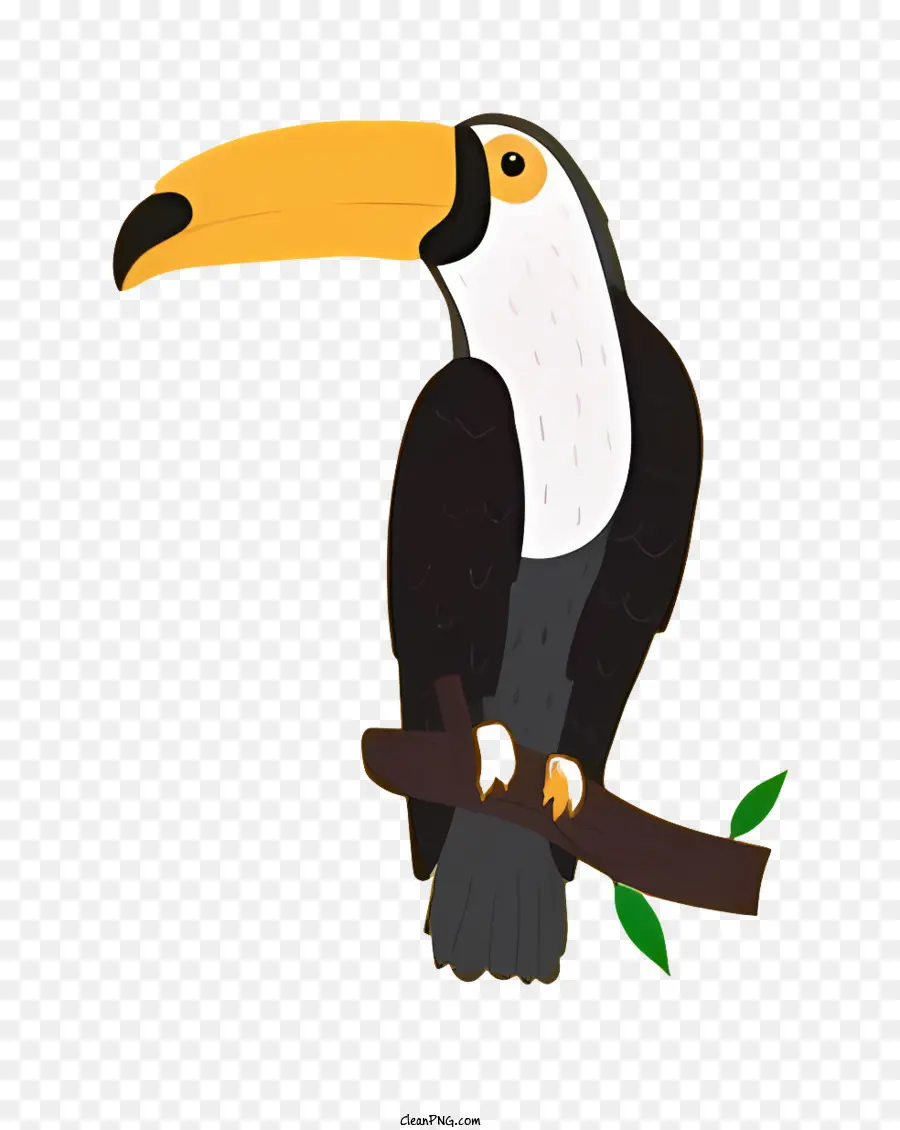 Parrot De Pássaro，Cartoon Tucano PNG