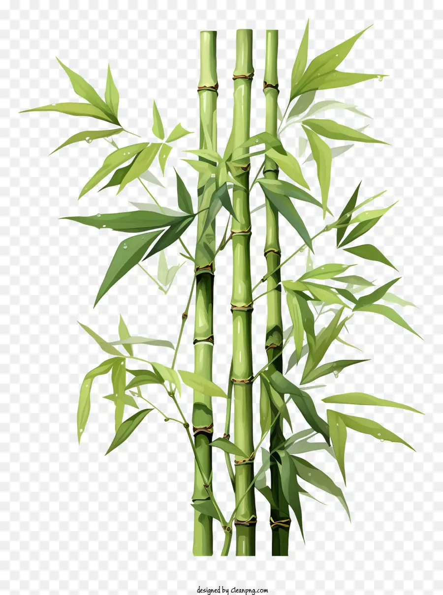 Haste De Bambu Em Aquarela，árvore De Bambu PNG