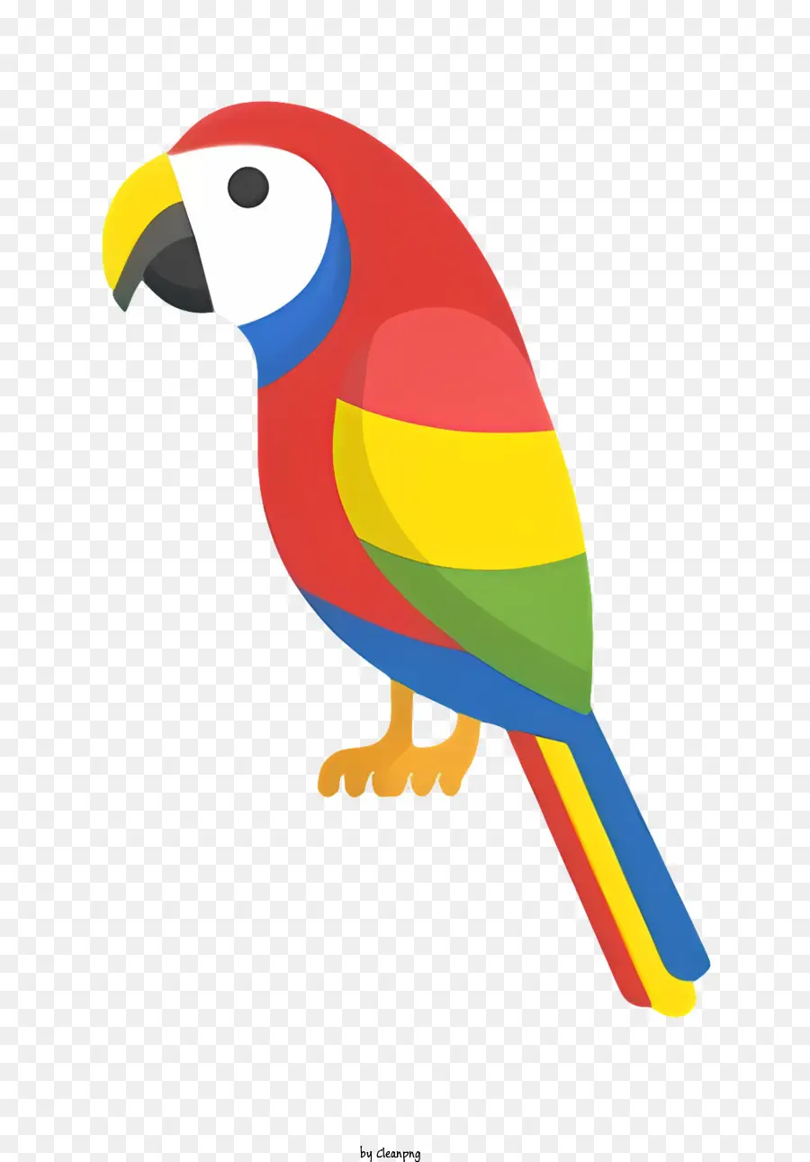 Parrot De Pássaro，Papagador Do Arco íris PNG