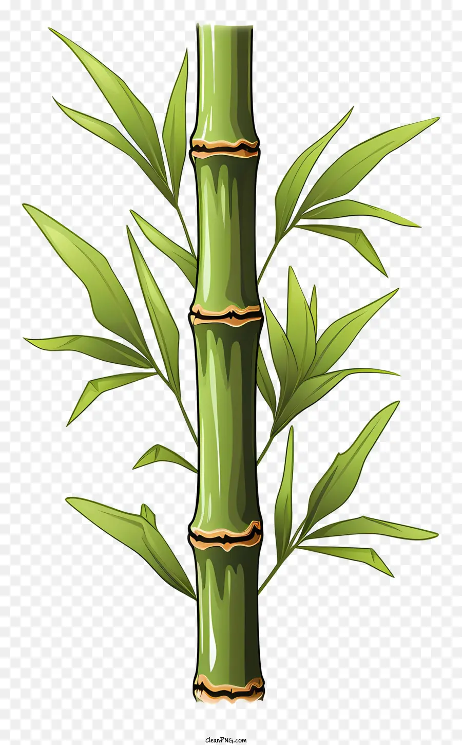 Caule De Bambu Desenhado à Mão，Bambu PNG