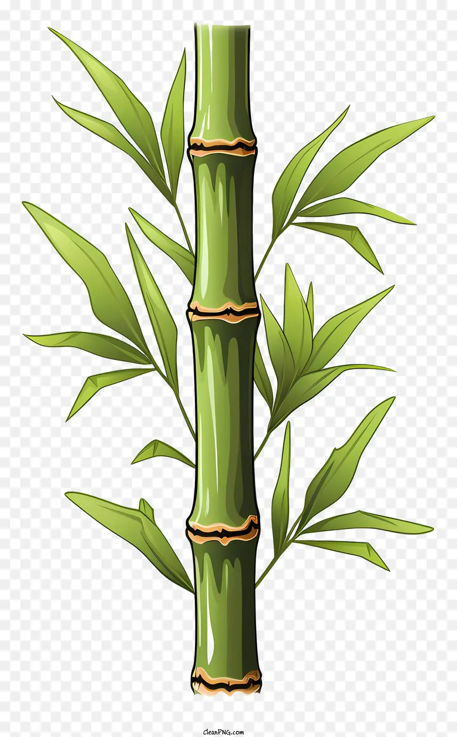 Haste De Bambu Desenhada à Mão，Bambu PNG