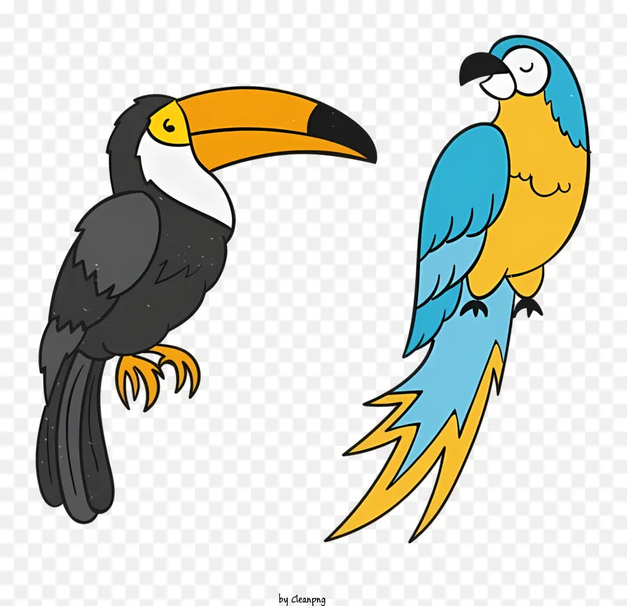 Parrot De Pássaro，Aves PNG