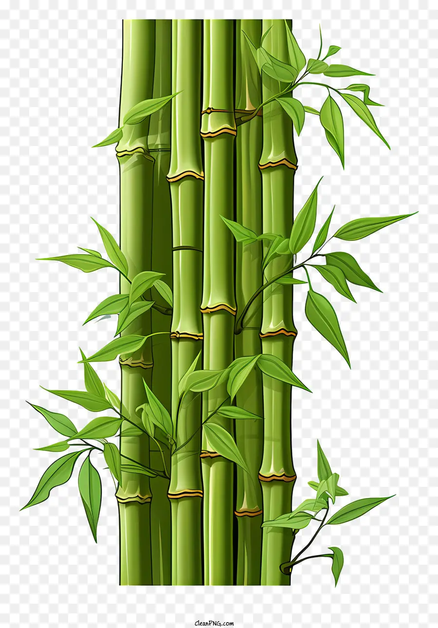Caule De Bambu Desenhado à Mão，Haste De Bambu PNG