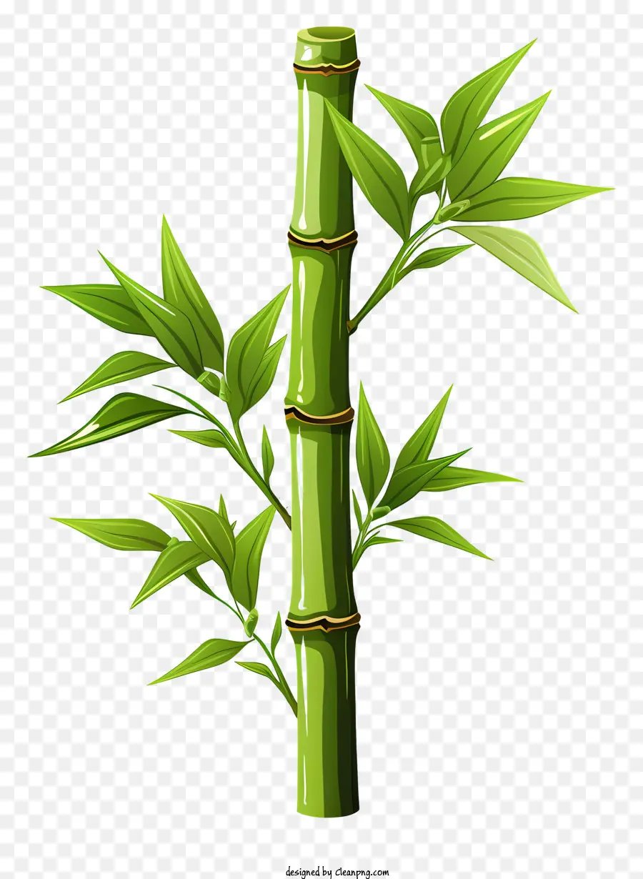 Caule De Bambu No Estilo Doodle，Bambu PNG