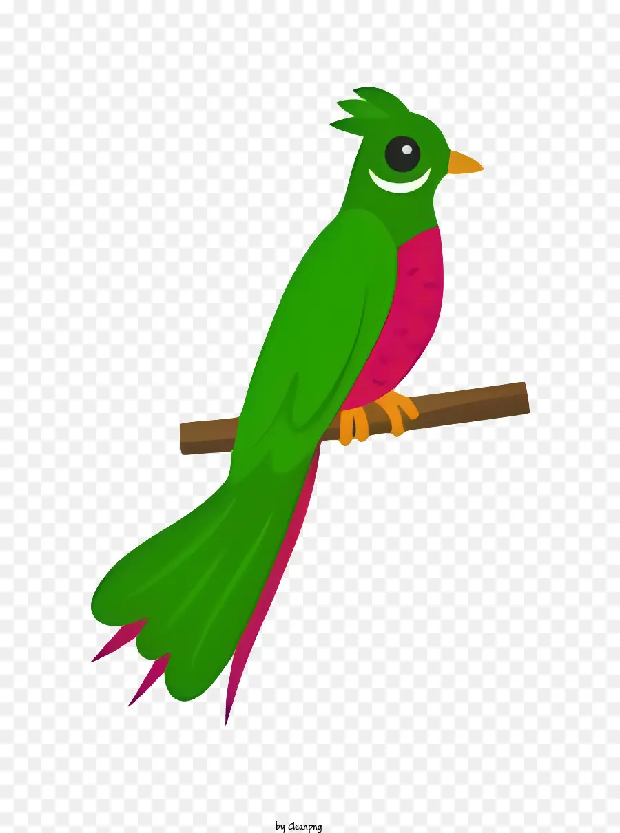 Parrot De Pássaro，Pássaro Verde E Vermelho PNG