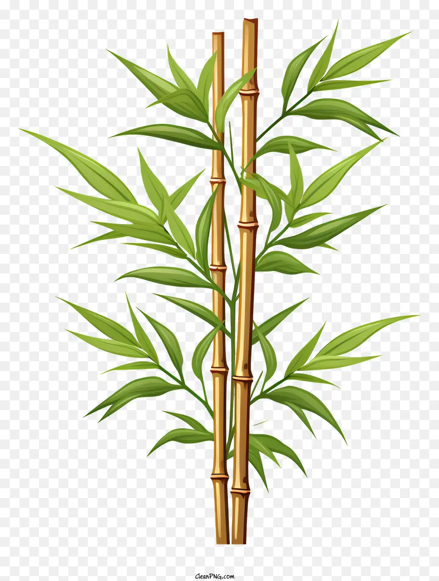 Caule De Bambu Plano，árvore De Bambu PNG