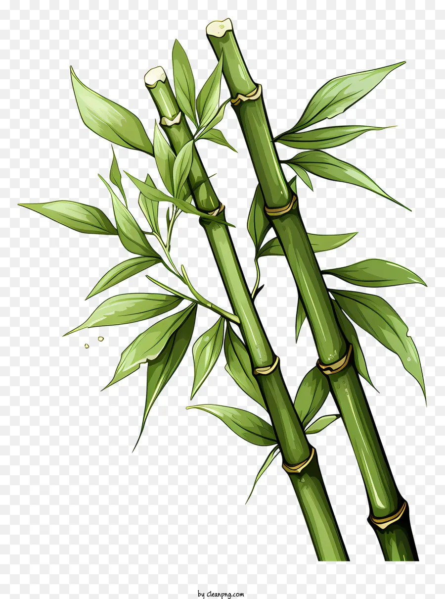 Caule De Bambu No Estilo Doodle，Bambu PNG