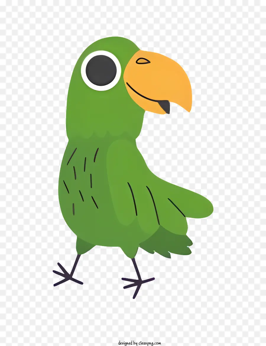 Parrot De Pássaro，Pássaro Verde PNG