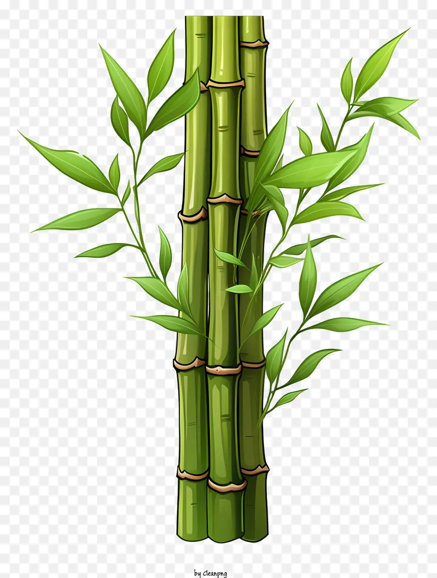 Caule De Bambu Desenhado à Mão，Planta De Bambu PNG