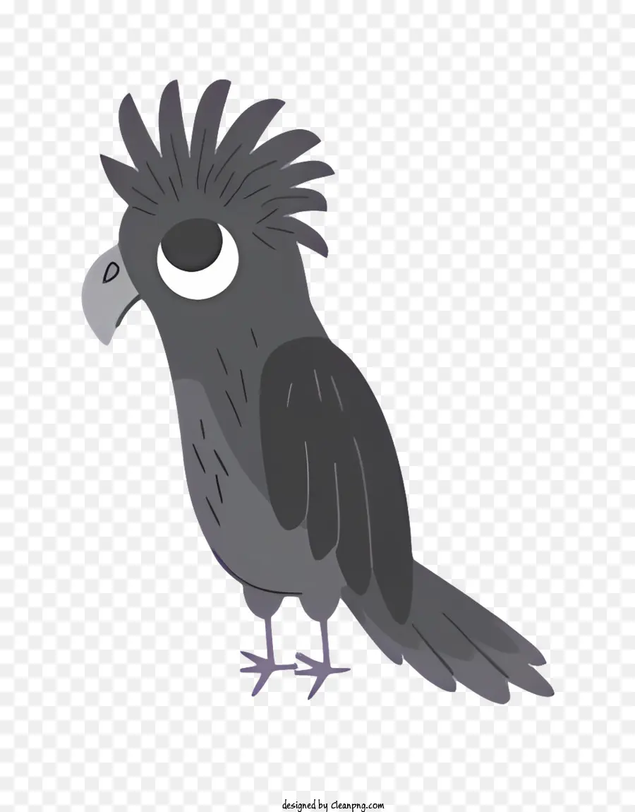 Parrot De Pássaro，Grey Parrot PNG