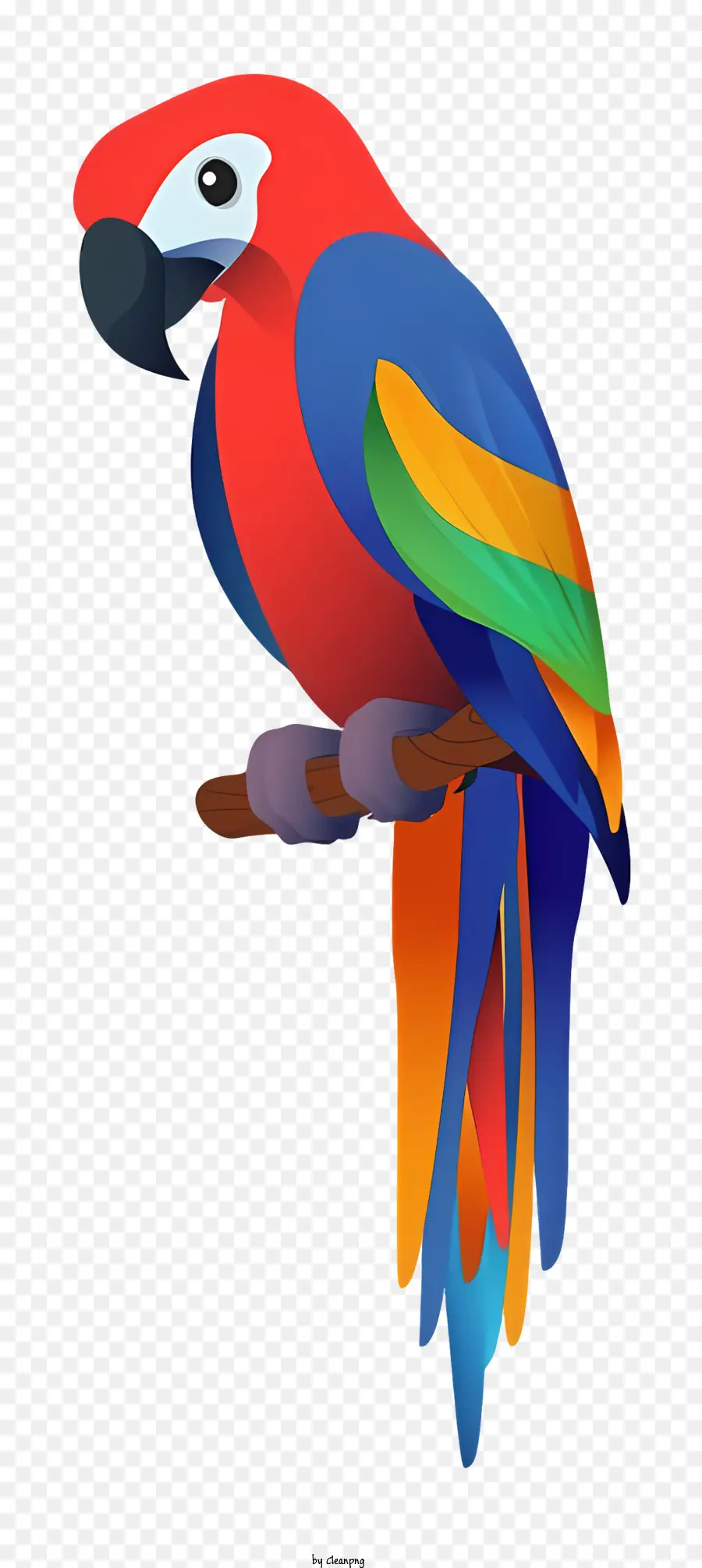 Parrot De Pássaro，Parrot Colorido PNG